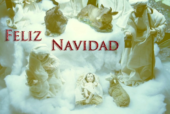 _DSC8999feliz navidad